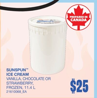 SUNSPUN™ ICE CREAM, 11.4 L