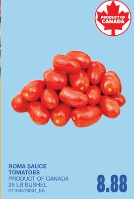 ROMA SAUCE TOMATOES