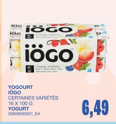 YOGURT, 16 X 100 G