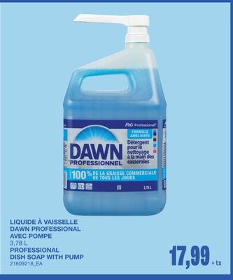 PROFESSIONAL DISH SOAP WITH PUMP, 3,78 L