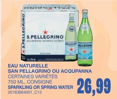 SPARKLING OR SPRING WATER, 750 ML