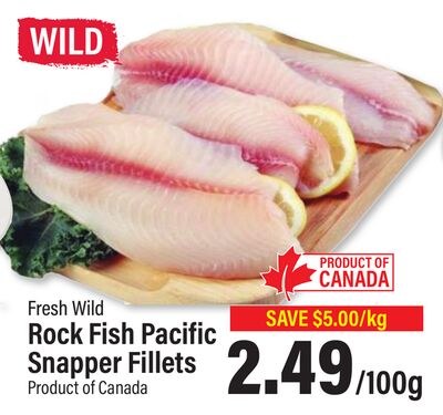 Fresh Wild Rock Fish Pacific Snapper Fillets
