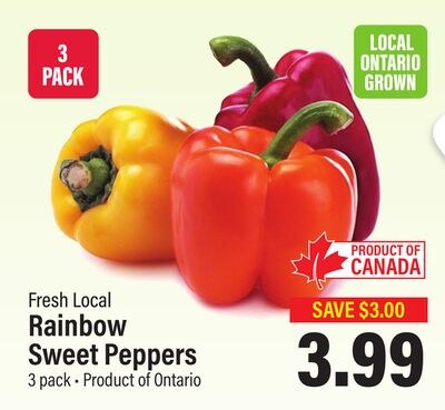Rainbow Sweet Peppers