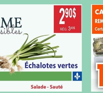 Échalotes vertes