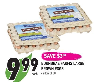 BURNBRAE FARMS LARGE BROWN EGGS
