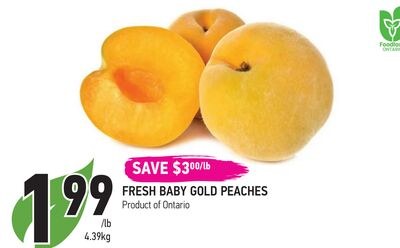FRESH BABY GOLD PEACHES