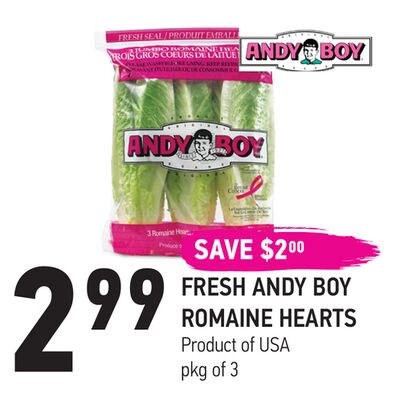 FRESH ANDY BOY ROMAINE HEARTS