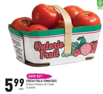 FRESH FIELD TOMATOES