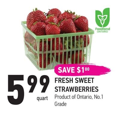 FRESH SWEET STRAWBERRIES