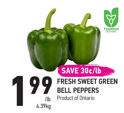 FRESH SWEET GREEN BELL PEPPERS