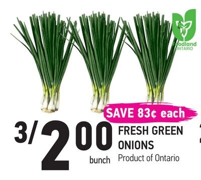 FRESH GREEN ONIONS