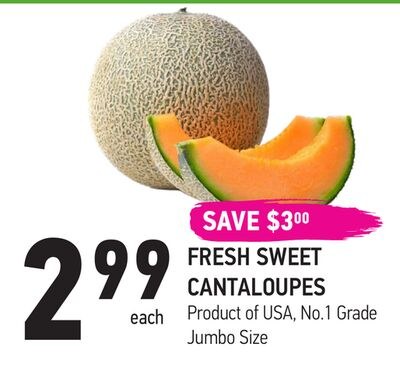FRESH SWEET CANTALOUPES