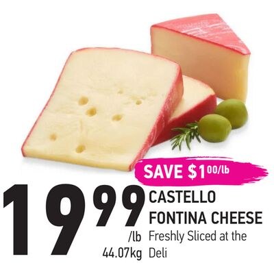 CASTELLO FONTINA CHEESE