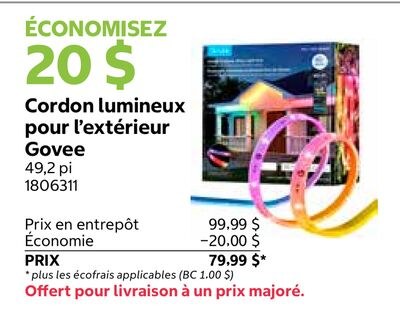 Cordon lumineux pour l'extérieur Govee