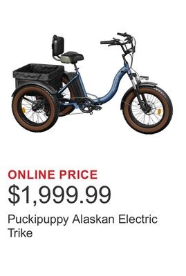 Puckipuppy Alaskan Electric Trike