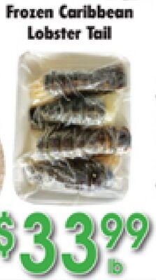 Frozen Caribbean Lobster Tail