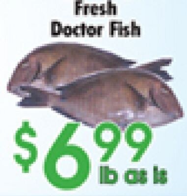 Fresh Doctor Fish