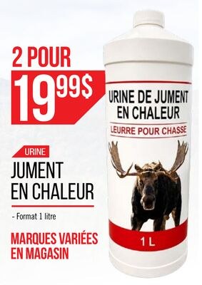 URINE JUMENT EN CHALEUR