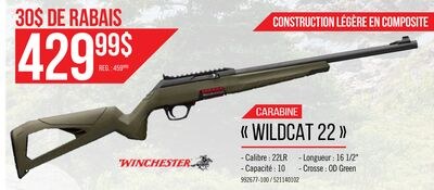 Carabine semi-automatique Wildcat .22 LR - Winc…