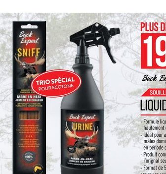 Buck Expert Sniff