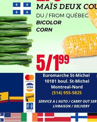 Chou Frisé du Québec