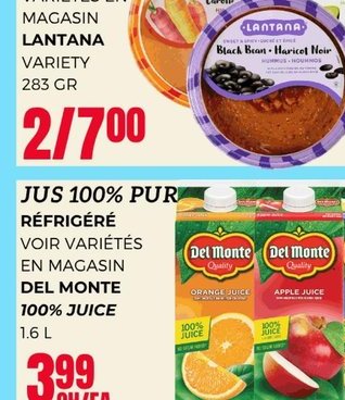 Hummus Lantana