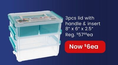 3PCS LID WITH HANDLE & INSERT 8" X 6" X 2.5"