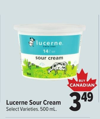 Lucerne Sour Cream