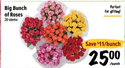 Big Bunch of Roses