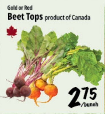 Gold or Red Beet Tops