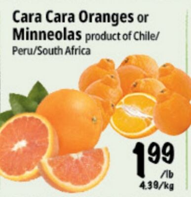 Cara Cara Oranges or Minneolas