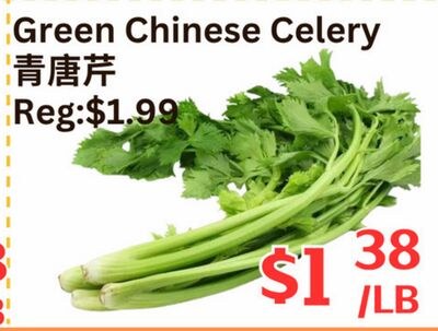 Green Chinese Celery