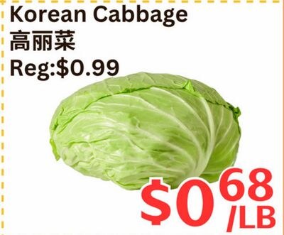 Korean Cabbage