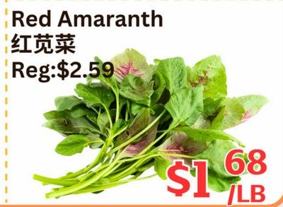 Red Amaranth
