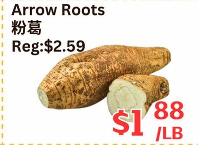 Arrow Roots