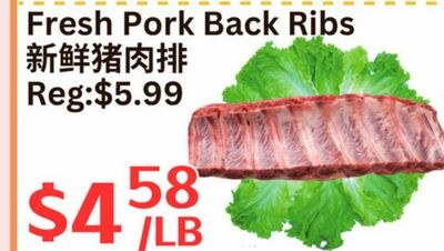 Fresh Pork Back Ribs