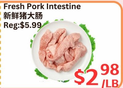 Fresh Pork Intestine