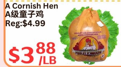 A Cornish Hen