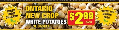ONTARIO NEW CROP WHITE POTATOES