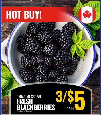 CANADIAN-GROWN FRESH BLACKBERRIES