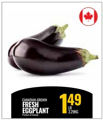 CANADIAN-GROWN FRESH EGGPLANT