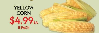 YELLOW CORN