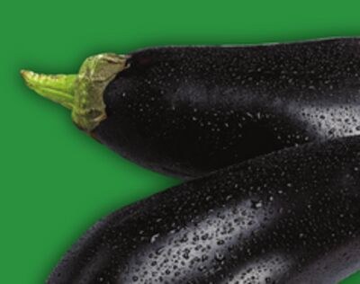 EGGPLANTS