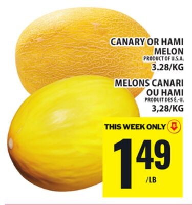 CANARY OR HAMI MELON
