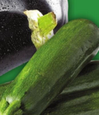 EGGPLANTS GREEN, GRAY OR YELLOW ZUCCHINI