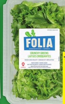 FOLIA LETTUCE