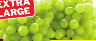 GREEN OR RED SEEDLESS GRAPES