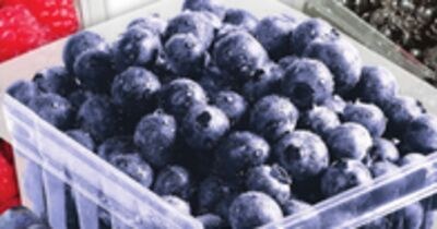 BLUEBERRIES OR RASPBERRIES OR BLACKBERRIES
