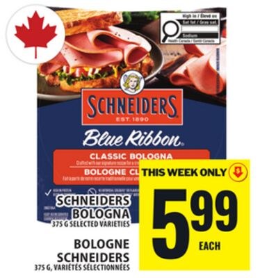 SCHNEIDERS BOLOGNA
