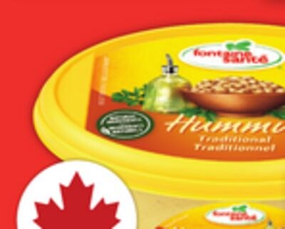 FONTAINE SANTÉ HUMMUS